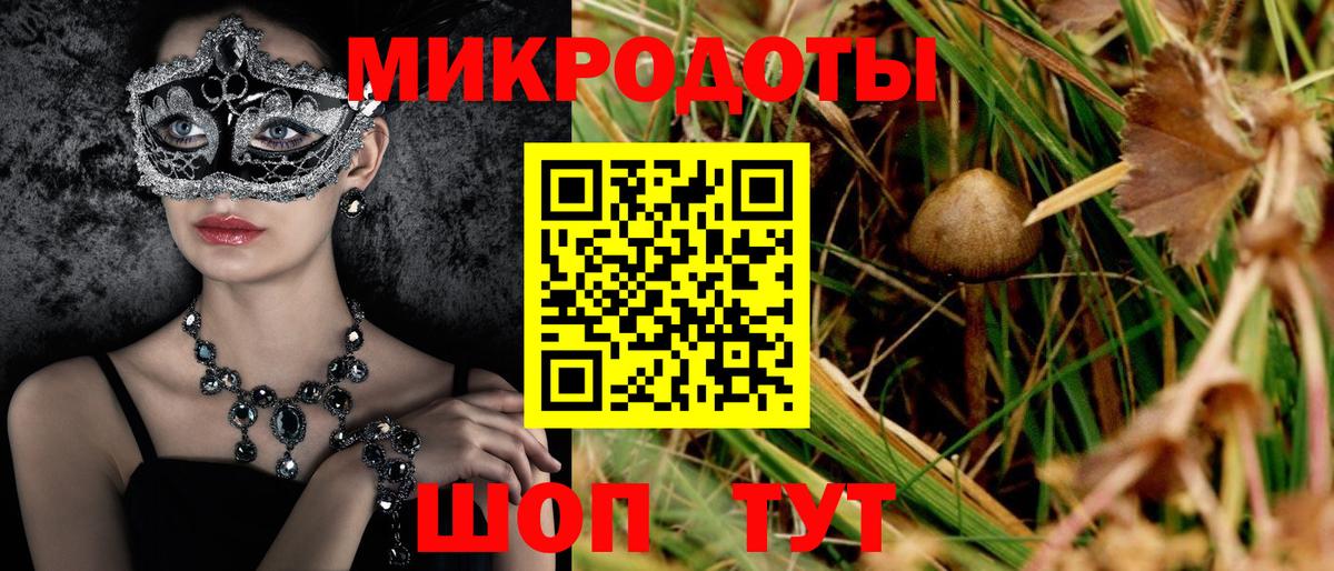 Псилоцибиновые грибы Psilocybine cubensis  Вход с VPN  Вичуга  Псилоцибиновые грибы мицелий 